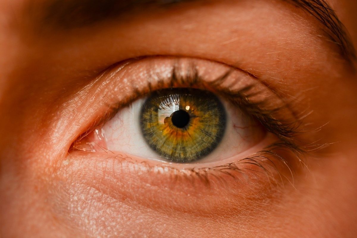 Oczy to ekstrawagancki organ. To naturalnie dzięki nim doświadczamy.